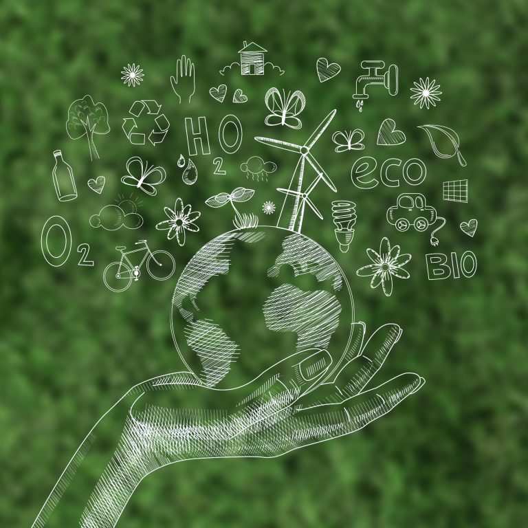 Guia completo para comunicar sustentabilidade com transparência (e sem greenwashing)