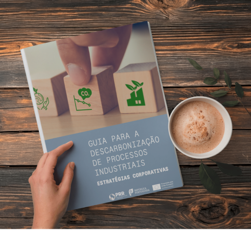 Guia para a descarbonização de processos industriais – estratégias corporativas