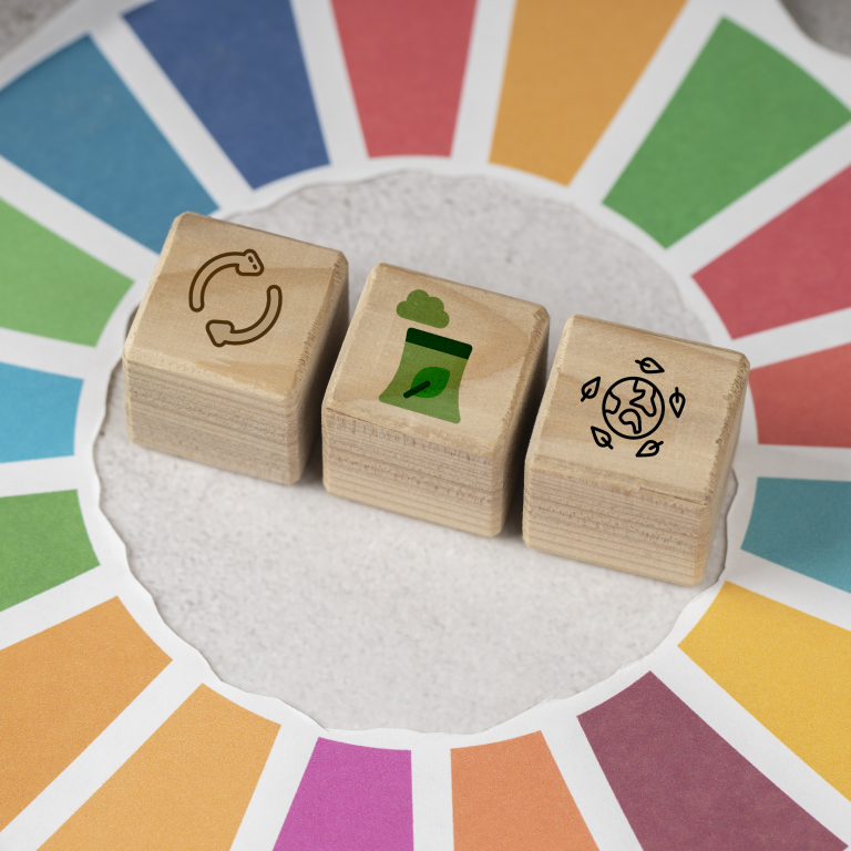 A Economia Circular não é o que pensa: 5 revelações que vão mudar a sua perspetiva